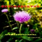 ���ֹ�,�����󷨵��ӹ�ףʦ�������(25��)