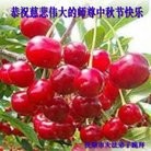 ���ֹ�,�����󷨵��ӹ�ףʦ���������(25��)