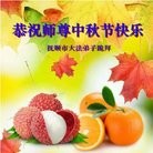 ���ֹ�,�����󷨵��ӹ�ףʦ���������(25��)