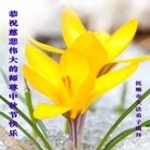 ���ֹ�,�����󷨵��ӹ�ףʦ���������(25��)