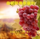 ���ֹ�,���մ󷨵��ӹ�ףʦ�������(24��)