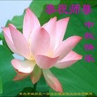 ���ֹ�,�ൺ�󷨵��ӹ�ףʦ���������(23��)