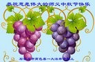 ���ֹ�,ʯ��ׯ�󷨵��ӹ�ףʦ���������(26��)