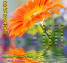 ���ֹ�,ɽ���󷨵��ӹ�ףʦ���������(27��)