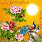 ���ֹ�,ɽ���󷨵��ӹ�ףʦ���������(23��)