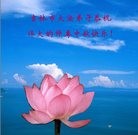 ���ֹ�,�����д󷨵��ӹ�ףʦ���������(23��)