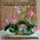 ���ֹ�,�㶫�󷨵��ӹ�ףʦ���������(27��)