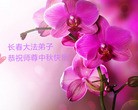 Published on 9/15/2016 ���ֹ�,����ϵͳ�󷨵��ӹ�ףʦ���������(23��)