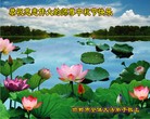 ���ֹ�,�ӱ��󷨵��ӹ�ףʦ�������(23��)
