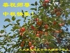 ���ֹ�,����󷨵��ӹ�ףʦ�������(18��)

