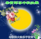 ���ֹ�,�������󷨵��ӹ�ףʦ�������(22��)