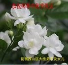 ���ֹ�,���ϴ󷨵��ӹ�ףʦ���������(19��)
