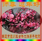 ���ֹ�,���մ󷨵��ӹ�ףʦ�������(26��)