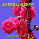 ���ֹ�,ɽ���󷨵��ӹ�ףʦ�������(21��)