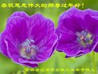 Published on 1/25/2017 ���ֹ�,��½�󷨵��ӹ�ףʦ�������(36��)