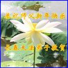 ���ֹ�,����ʡ�󷨵��ӹ�ףʦ�������(18��)