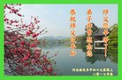 ���ֹ�,�����󷨵��ӹ�ףʦ�������(20��)