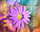 ���ֹ�,�人�󷨵��ӹ�ףʦ�������(19��)