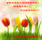 ���ֹ�,�����д󷨵��ӹ�ףʦ�������(20��)