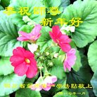 ���ֹ�,�ɶ��󷨵��ӹ�ףʦ�������(23��)