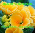 ���ֹ�,�ɶ��󷨵��ӹ�ףʦ�������(23��)