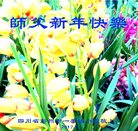 ���ֹ�,�ɶ��󷨵��ӹ�ףʦ�������(23��)