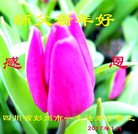 ���ֹ�,�ɶ��󷨵��ӹ�ףʦ�������(23��)