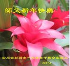 ���ֹ�,�ɶ��󷨵��ӹ�ףʦ�������(23��)