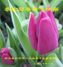 ���ֹ�,�ɶ��󷨵��ӹ�ףʦ�������(23��)