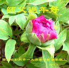 ���ֹ�,�ɶ��󷨵��ӹ�ףʦ�������(23��)