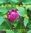 ���ֹ�,�ɶ��󷨵��ӹ�ףʦ�������(23��)