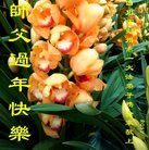 ���ֹ�,�ɶ��󷨵��ӹ�ףʦ�������(23��)