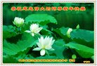 Published on 1/24/2017 ���ֹ�,����ϵͳ�󷨵��ӹ�ףʦ�������(22��)