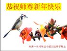 Published on 1/24/2017 ���ֹ�,���󷨵��ӹ�ףʦ�������(22��)