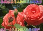 ���ֹ�,�����󷨵��ӹ�ףʦ�������(20��)