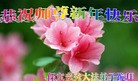 ���ֹ�,�����󷨵��ӹ�ףʦ�������(20��)