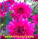 ���ֹ�,�����д󷨵��ӹ�ףʦ�������(20��)