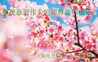 Published on 1/25/2017 ���ֹ�,��½�󷨵��ӹ�ףʦ�������(34��)