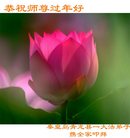 ���ֹ�,�ػʵ��󷨵��ӹ�ףʦ�������(21��)