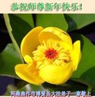 ���ֹ�,���ϴ󷨵��ӹ�ףʦ�������(26��)