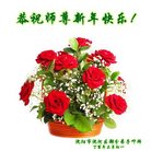 ���ֹ�,�����󷨵��ӹ�ףʦ�������(29��)