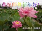 ���ֹ�,�����󷨵��ӹ�ףʦ�������(21��)
