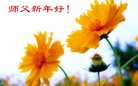 ���ֹ�,�人�󷨵��ӹ�ףʦ�������(24��)