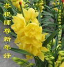 ���ֹ�,�ɶ��󷨵��ӹ�ףʦ�������(22��)