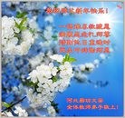 ���ֹ�,�ȷ��󷨵��ӹ�ףʦ�������(28��)