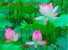 ���ֹ�,�ȷ��󷨵��ӹ�ףʦ�������(28��)