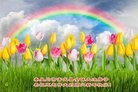 ���ֹ�,�ػʵ��󷨵��ӹ�ףʦ�������(23��)