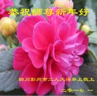 ���ֹ�,�ɶ��󷨵��ӹ�ףʦ�������(22��)