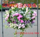 ���ֹ�,�����󷨵��ӹ�ףʦ�������(27��)