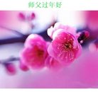 ���ֹ�,���ϴ󷨵��ӹ�ףʦ�������(28��)